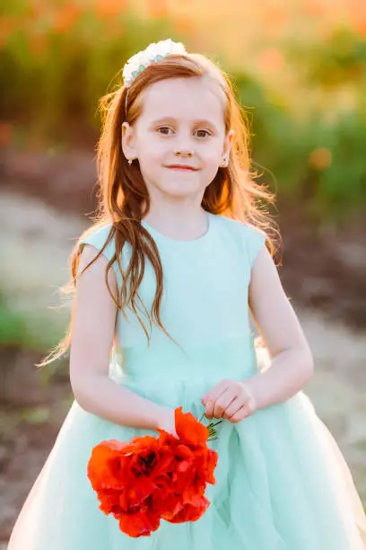kids fashion, happy childhood, wedding, nature concept - portrait of young charming lady in turquoise dress with bright red poppies in her hand and flowing brown hair, she's standing in sunlight