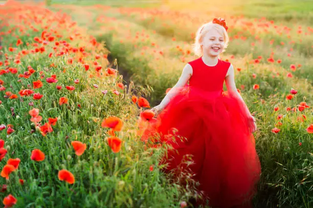 kid fashion, wedding, summer, weekends, flora, freedom concept - sorrounded by poppies little adorable model with flowers in blond hair and in poofy crimson dress laughing