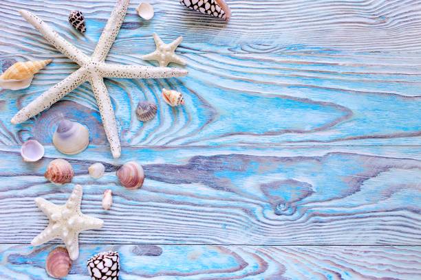istock Summer sea background - shells, star on a wooden blue background with copy space 689323564