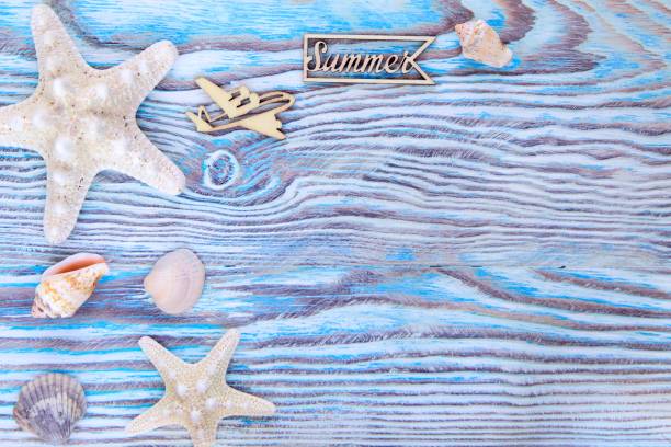 istock Summer sea background - shells, star on a wooden blue background with copy space 689323792