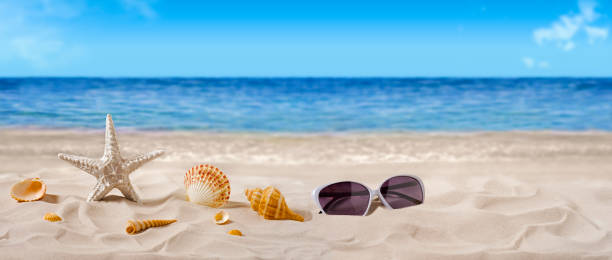 istock Starfish, seashells, sunglasses on seashore - beach holiday background banner 689327932