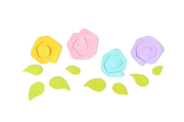 Roses paper cut on white background