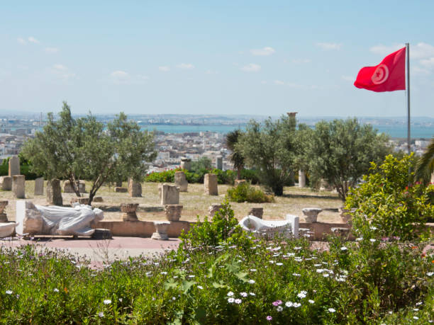istock tunisia in africa 689333948