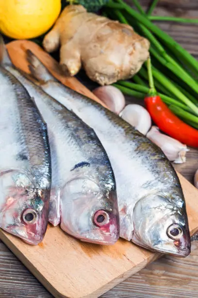 Photo of Ilish fish of Southeast Asia