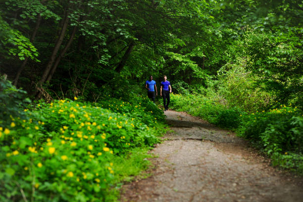 Two man walking on a forrest road after a run