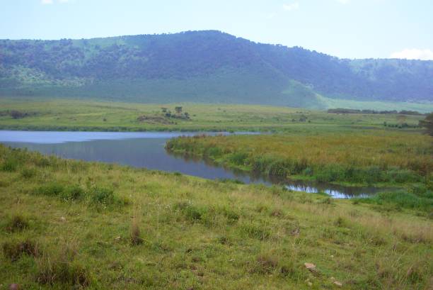 istock Ngorongoro Conservation Area - Tanzania 689341270