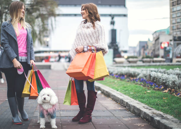 istock Friends were in shopping 689346804