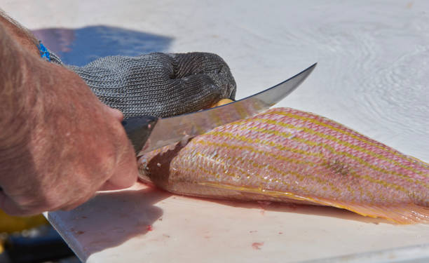 fisherman cutting fish