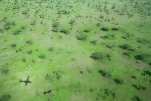 istock Ngorongoro Crater bird´s view 689347738