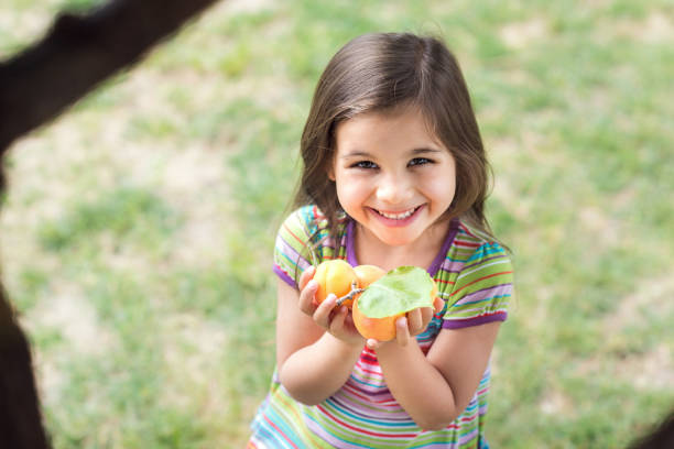 istock Child Holding Apricots In Hands In Garden 689347880