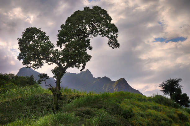 Simien national park stock photo