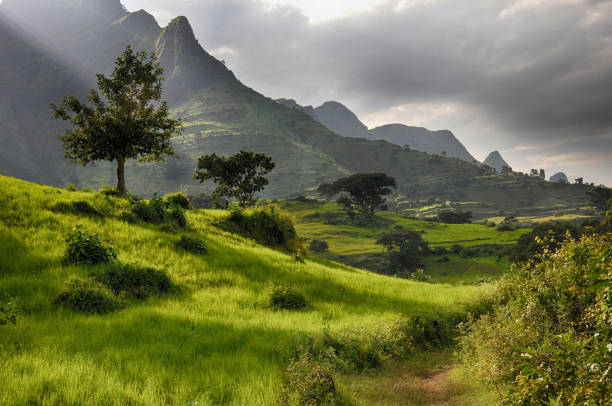 Simien national park stock photo