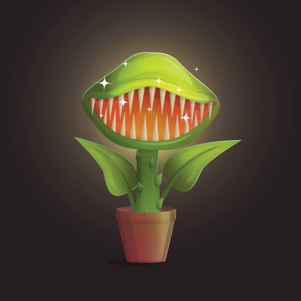 Venus flytrap flower carnivorous plant illustration Venus flytrap flower carnivorous plant illustration. Wild deadly hungry plant in pot on dark background. carnivorous stock illustrations
