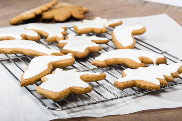 istock Iced cookies in animal shapes 689373124