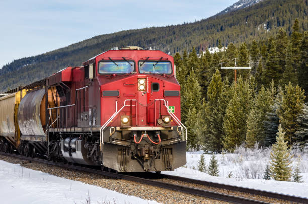 istock Freight Train through the Canadian Rockies 689373150