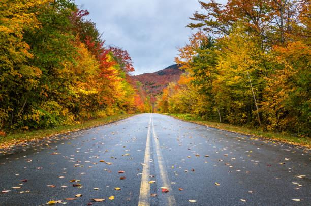 autumn scenic mountain road on a rainy day - empty road imagens e fotografias de stock