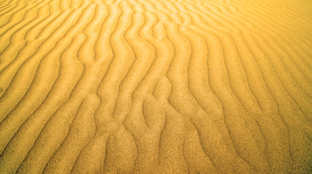 istock Sands of Agadir 689389722