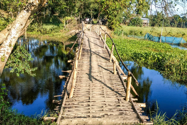 istock Wooden footbridge / walkway / pathway 689397528