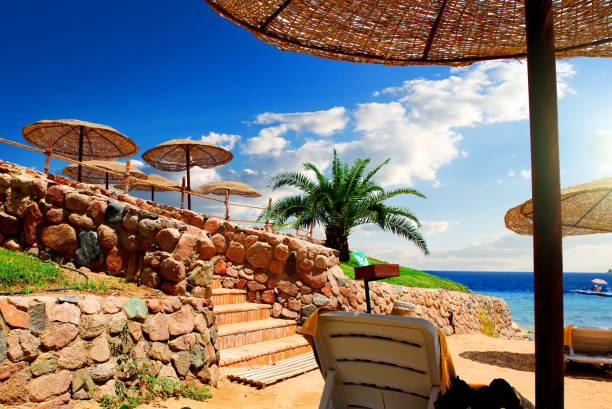 istock Beach near Red Sea 689398942