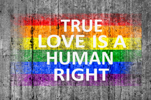 istock True love is a human right and LGBT flag 689402048