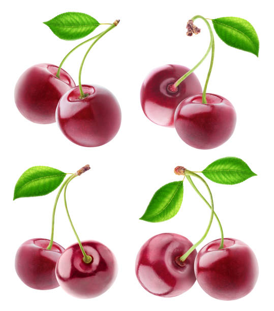 istock Collection of isolated cherry fruits 689404852