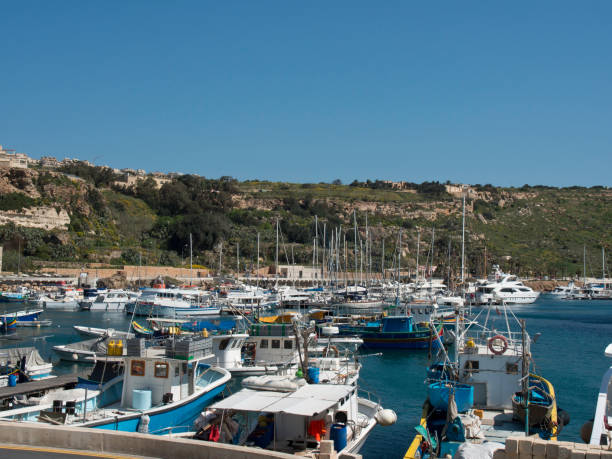 istock The island of gozo 689404970
