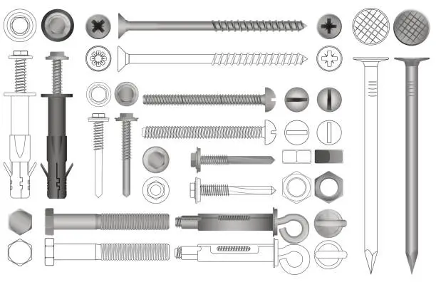 Vector illustration of Vector set of realistic and line nuts, bolts, screws and rivets.