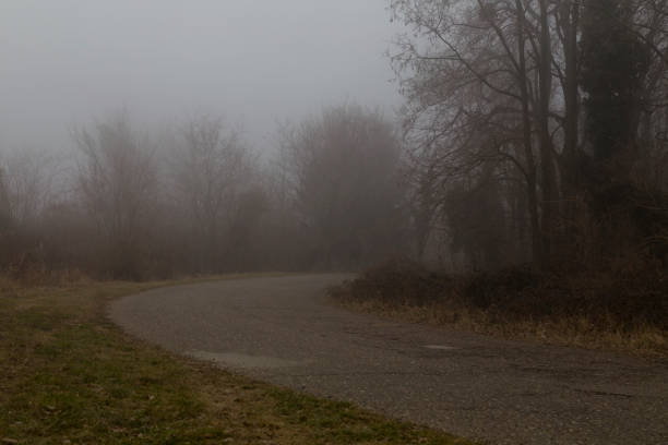 istock Danger fog on the road 689410804
