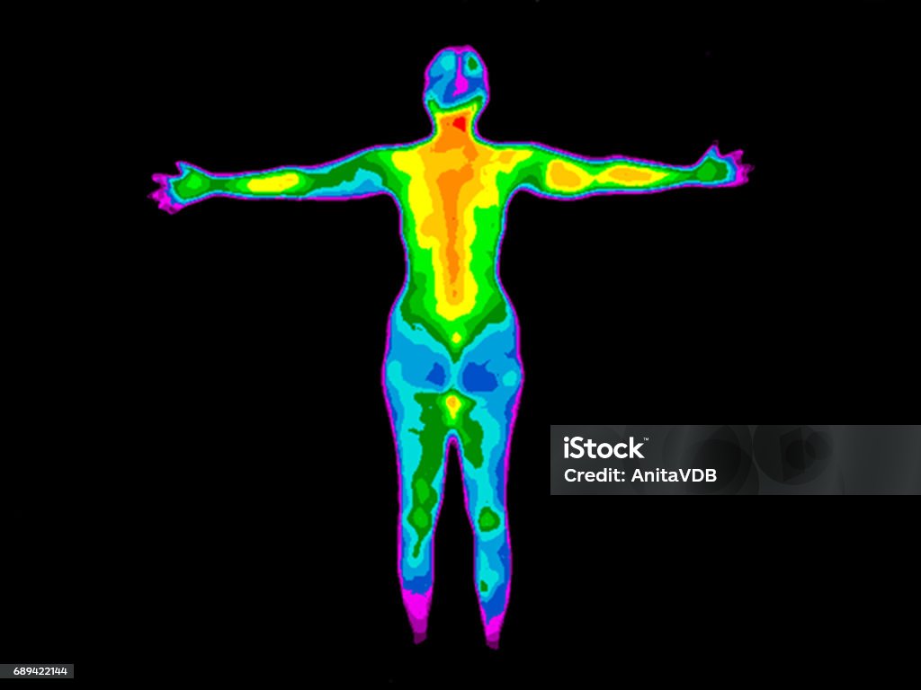 Thermography Whole Body Back Thermographic image of the back of the whole body of a woman with the photo showing different temperatures in a range of colors from blue showing cold to red showing hot which can indicate joint inflammation. Thermal Image Stock Photo