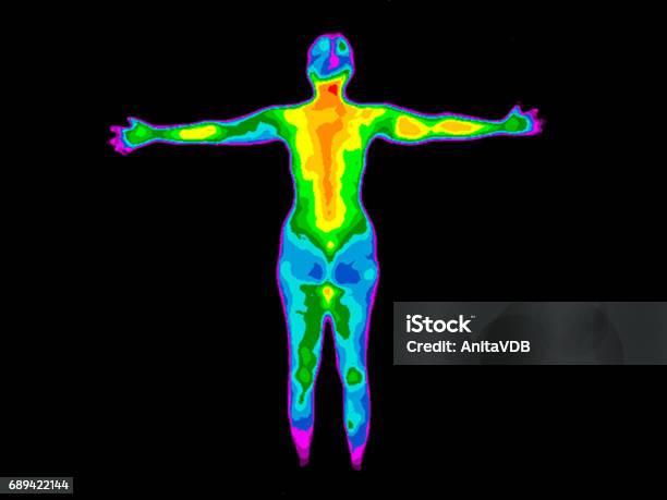 Thermography Whole Body Back Stock Photo - Download Image Now - Thermal Image, The Human Body, Heat - Temperature