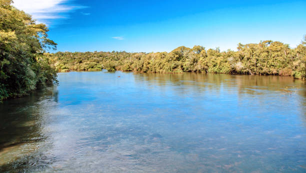 istock The Argentine side of Iguazu National Park 689422424