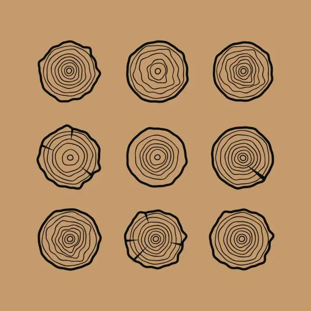 Vector illustration of Set of four tree rings icons. Concept of saw cut tree trunk. Tre