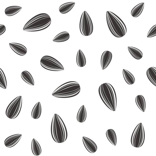 ilustraciones, imágenes clip art, dibujos animados e iconos de stock de patrón sin fisuras de las semillas de girasol. diseño de packaging vector. - sunflower seed