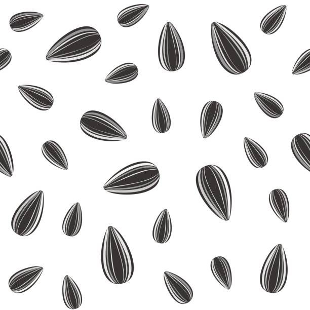 ヒマワリの種のシームレスなパターン。ベクトル パッケージ デザイン。 - sunflower seed点のイラスト素材／クリップアート素材／マンガ素材／アイコン素材