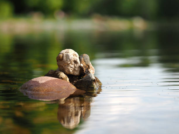 Mountain stones in the water. Green, reflection