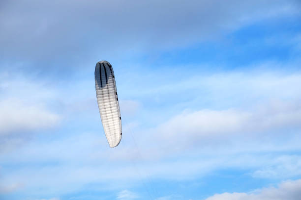 Big gray kite with long black stripes in bright blue sky with white clouds