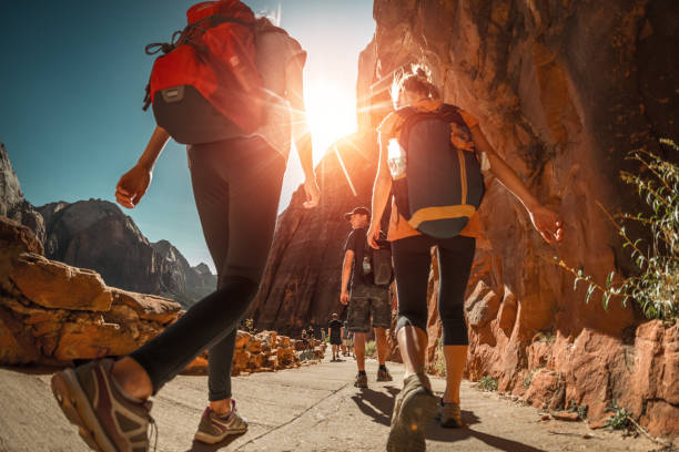 Hiker with backpacks Hikers with backpacks walk on the trail in canyon of Zion National Park, USA national park stock pictures, royalty-free photos & images