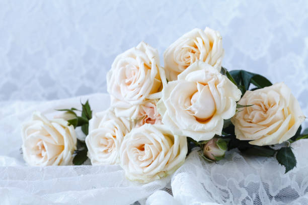istock gentle background for wedding cards and invitations 689459922