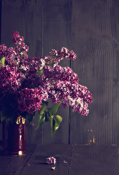 istock lilac flowers on a dark wooden background 689462794