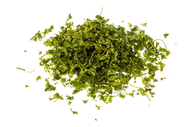 istock Dried parsley on white background 689468980