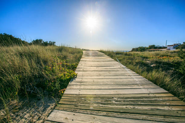 istock Wooden Access  to the beach 689478546