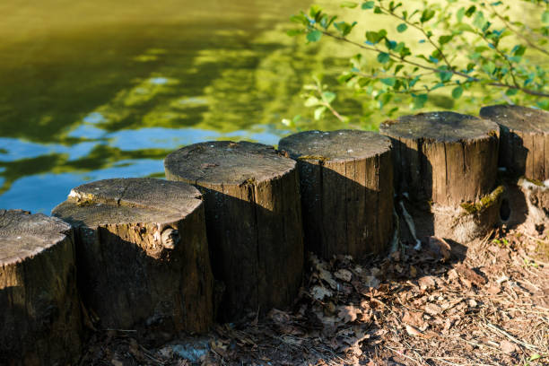 istock Old wooden columns on the river bank. 689479108