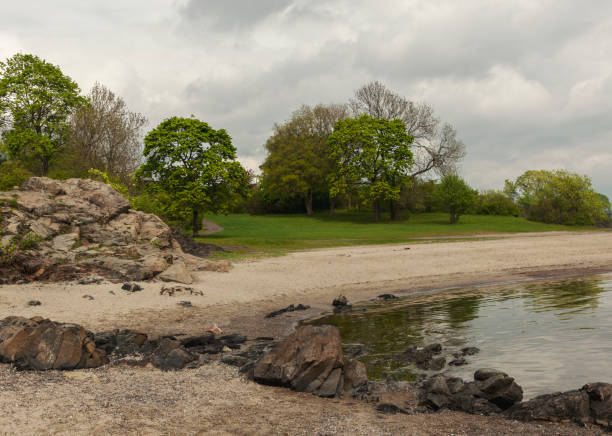 istock Park with deciduous trees near by the sea in spring. 689481550