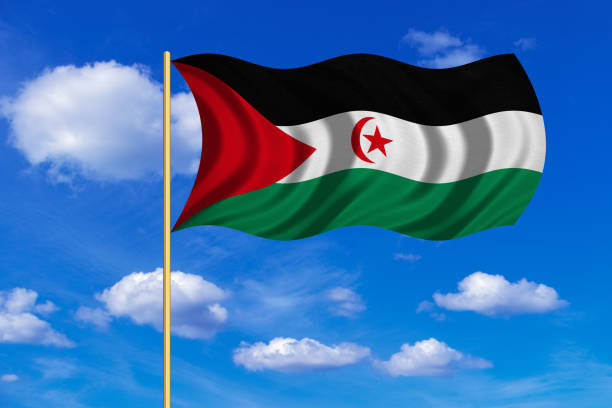 istock Flag of Western Sahara wavy on blue sky background 689481834