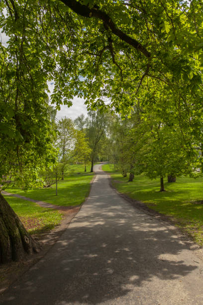 istock Park with deciduous trees near by the sea in spring. 689485330