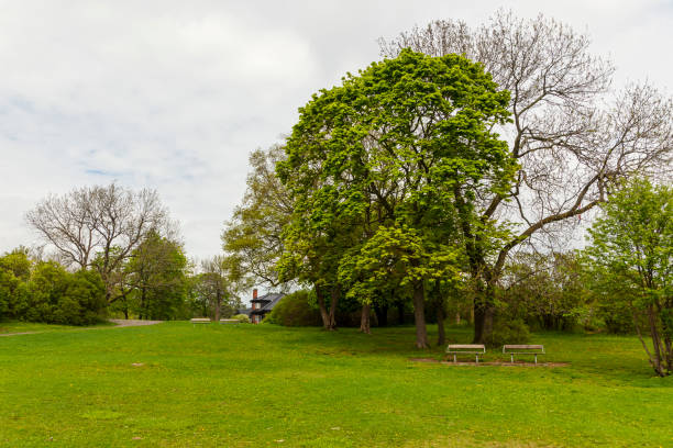 istock Park with deciduous trees near by the sea in spring. 689487970