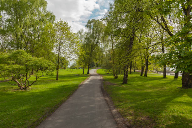 Road in a park with deciduous trees near by the sea in spring.