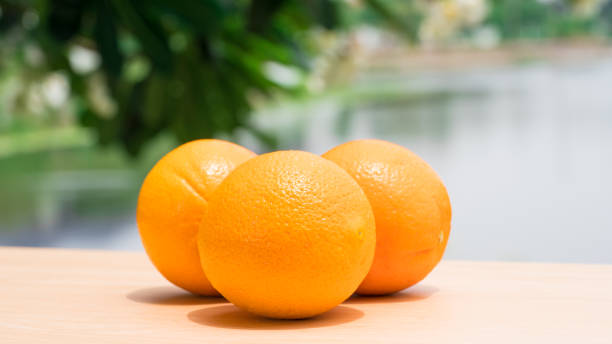 istock Orange fruits composition on the wooden table on the green blurred background 689497366