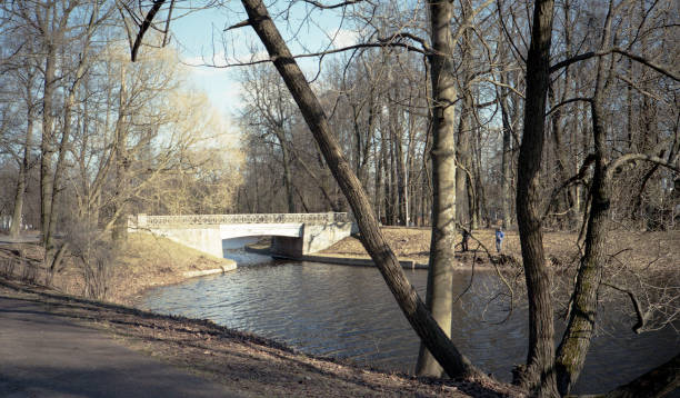 istock Spring landscape. Fussy trees over the pond in the park. Reflection. 689501538