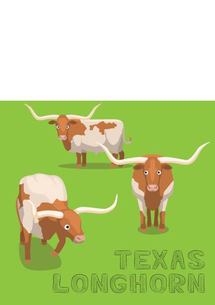 krowa texas longhorn cartoon wektor ilustracja - texas longhorn cattle horned bull long stock illustrations